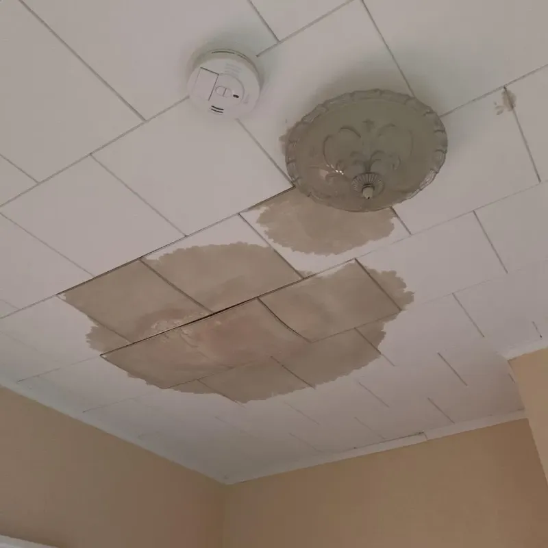 Ceiling Water Damage Repair in Elroy, WI